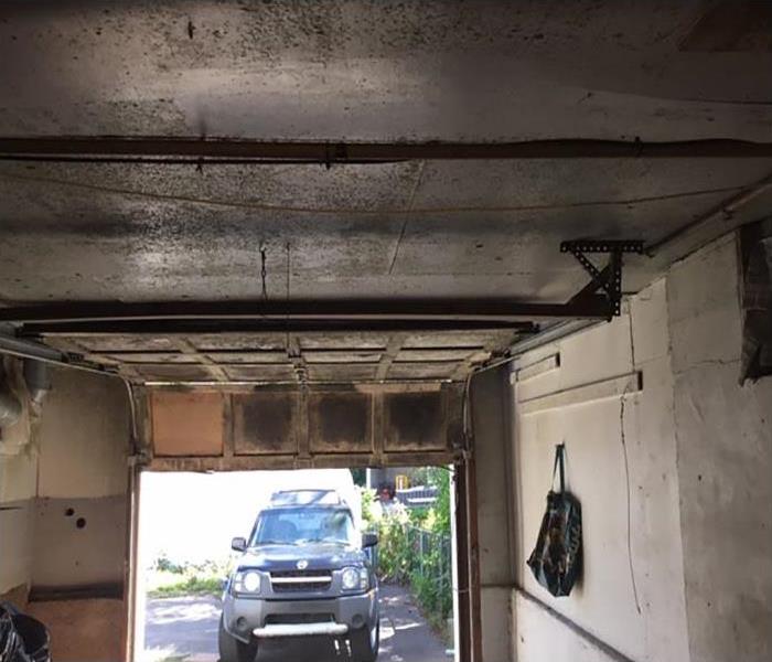 mold growing in garage