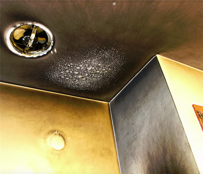 bubbled and smoked up ceiling after a kitchen fire