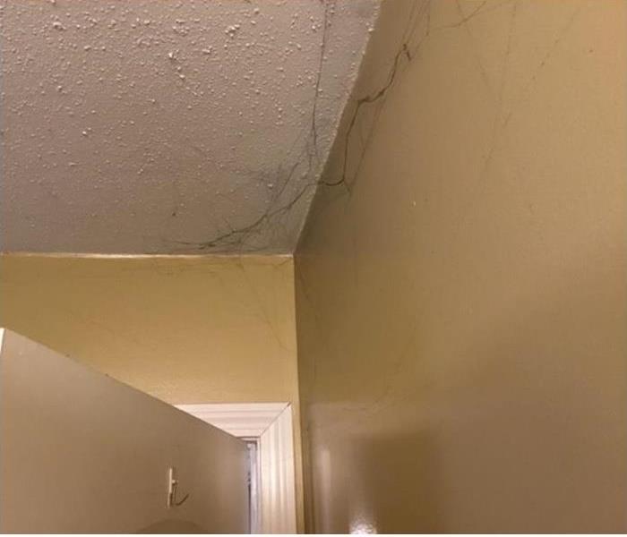 soot web in the corner of a room