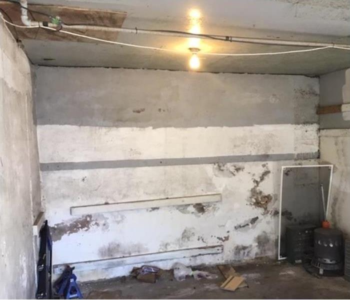 mold damage covering the walls of a room